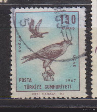 Фауна птицы Турция 1967 год лот 13