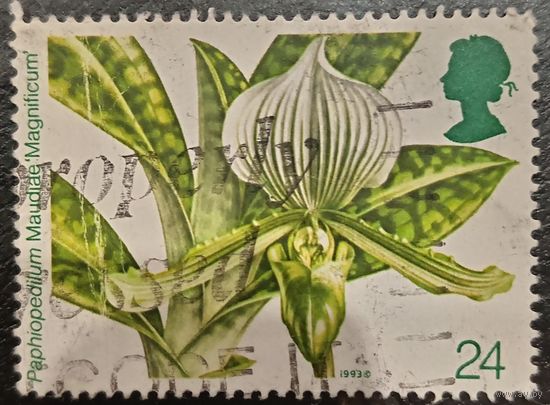 Великобритания 1993. Флора. Цветы