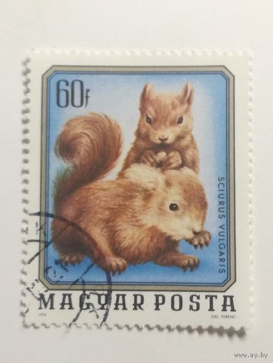 Венгрия 1976. Молодые Дикие Животные