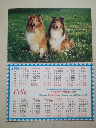 Карманный календарик . Собаки Колли. Белпочта. 2002 год