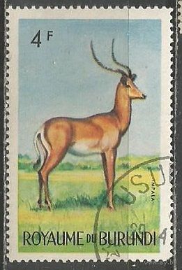 Бурунди. Животный мир страны. Импела. 1964г. Mi#93.