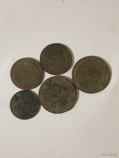 Лот советских монет 1924 года.Не чищены.С 1 рубля.