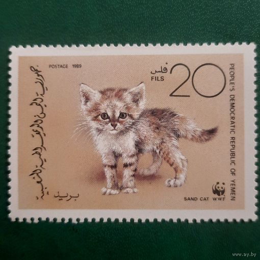 Йемен 1989. Фауна. Домашние кошки