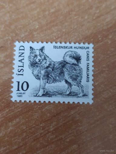 Марка Исландии, собака.