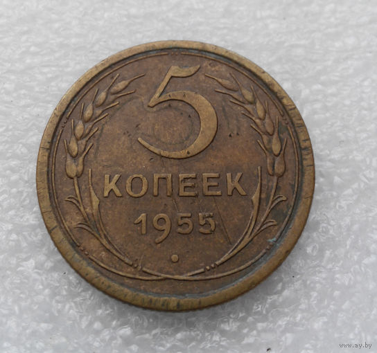 5 копеек 1955 года СССР #08