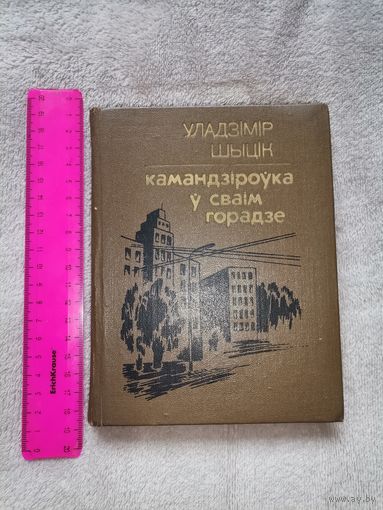 Уладзімір Шыцік. Камандзіроўка ў сваім горадзе.