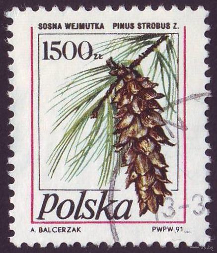 Сосны Польша 1991 год 1 марка
