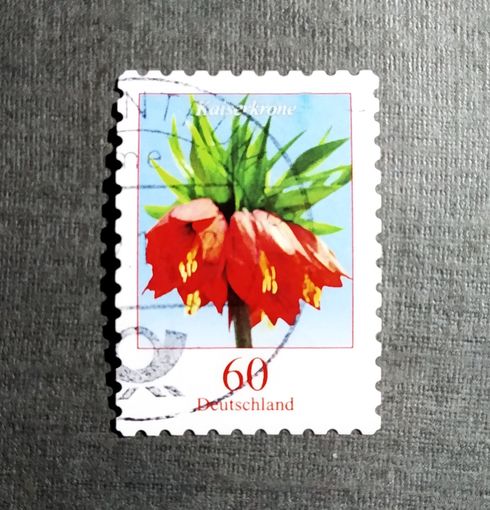 Марка Германия 2005 год Цветы