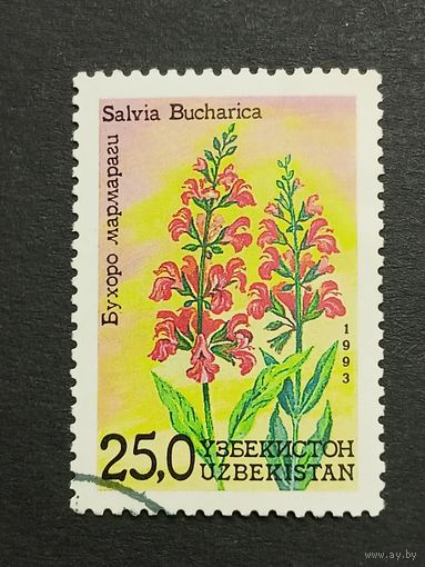 Узбекистан 1993. Цветы Узбекистана