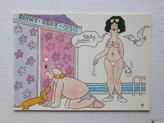 Чехословакия юмор  1985   10х15 см
