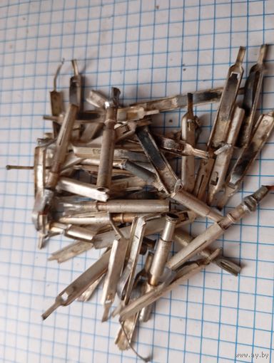 Посеребренка