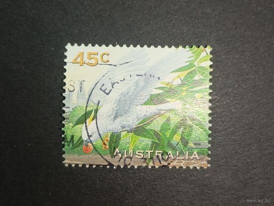 Австралия 1996. Домашние животные