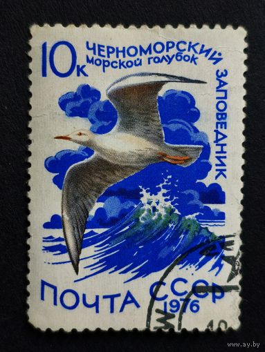 1976 СССР. Водоплавающие птицы. Морской голубок