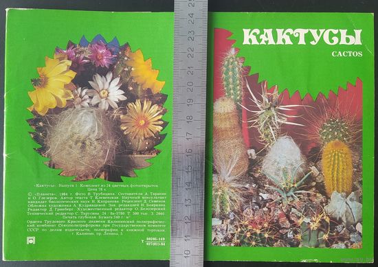 СССР 1984 открытки набор 23 из 24 шт. (нет N 22). Фото. В. Трубицина, Кактусы выпуск 1 зак.2640 планета.