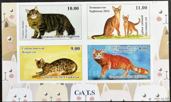 Таджикистан 2024 .Фауна. Кошки квартблок беззубцовый **