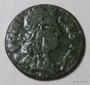 Боратинка 1661(1)