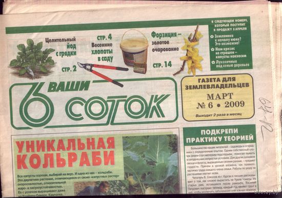 6 соток 6-2009