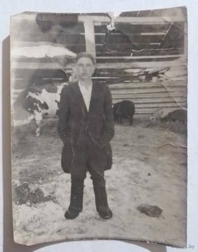 Старое фото ферма