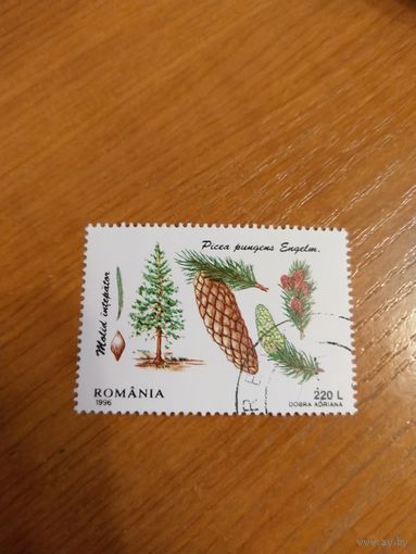 1996 Румыния флора маленький тираж MNH** (2-3)