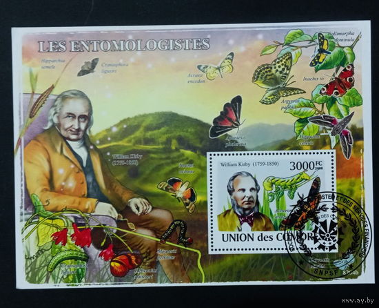 ФАУНА БАБОЧКИ НАСЕКОМЫЕ ЦВЕТЫ    БЛОК  сто