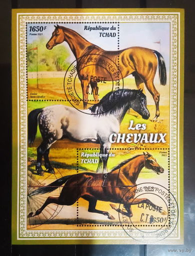 ФАУНА ЖИВОТНЫЕ  ЛОШАДИ  БЛОК сто