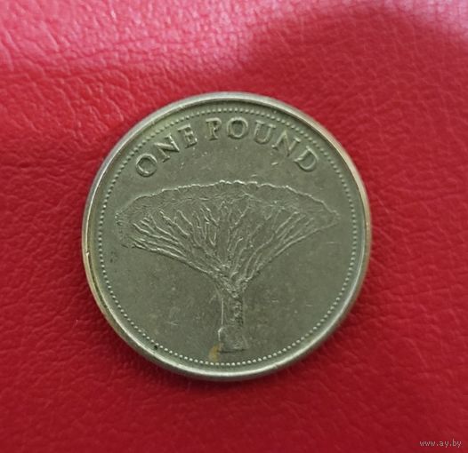 Гибралтар 1 фунт 2016 Драконово дерево