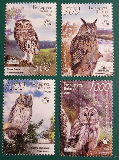 2008 Птицы Беларуси. Совы Беларусь