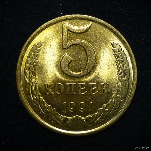 5 КОПЕЕК 1991 ЯРКИЙ ШТЕМПЕЛЬНЫЙ ЛЮКС ( БЕЗ МЦ ) КОРОТКИЙ АУК