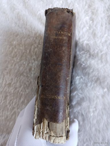 Римский бревиарий 1879г   Breviarium romanum ex decreto SS. Concilii Tridentini золотой срез