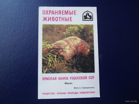 Календарик 1985 г.  Красная книга Узб.ССР.  Манул.