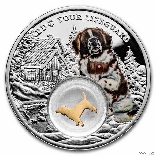 Камерун 1000 франков 2021г. "Собака - лучший друг: Сенбернар". Филигрань 24К Gold. Монета в капсуле; подарочной рамке - футляре; коробка - сертификат. СЕРЕБРО 28,28гр.