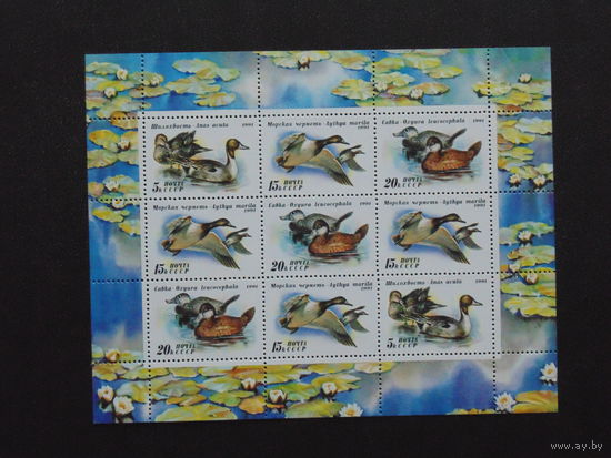 СССР 1991 г. Утки. Малый Лист.