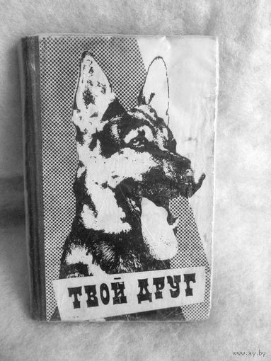 Б.Рябинин Твой друг