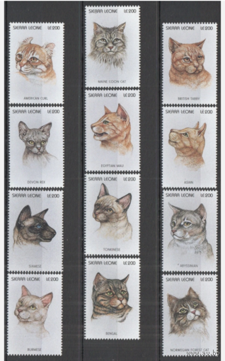 СЬЕРРА-ЛЕОНЕ ФАУНА ДОМАШНИЕ ЖИВОТНЫЕ КОШКИ  MNH