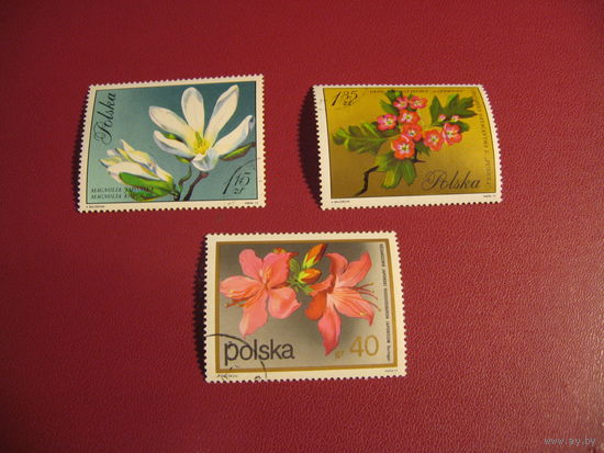 Марки Цветы Польша 1972 год (4 шт)