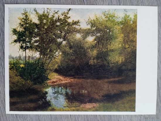 1956. Невежин. Летний день