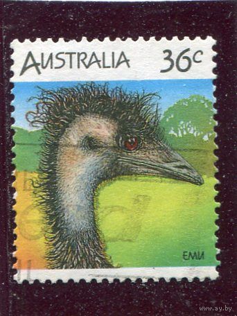 Австралия. Фауна