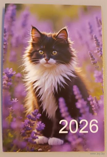 Кот. Календарик, 2026