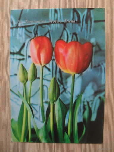 ПОДПИСАННАЯ ОТКРЫТКА СССР. ПРИБАЛТИКА. 1981 ГОД. "С МЕЖДУНАРОДНЫМ ЖЕНСКИМ ДНЕМ!".