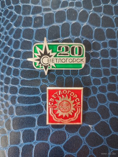 Значки Светлогорск.