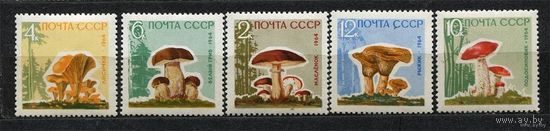 Грибы. 1964. Полная серия 5 марок. Чистые