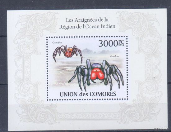 [339] Коморы 2010. Фауна.Пауки. БЛОК MNH.