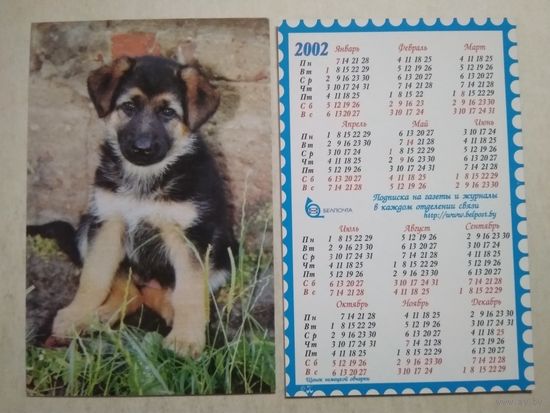 Карманный календарик . Собака . Белпочта. 2002 год