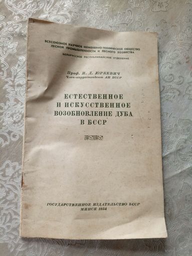 Естественное и искусственное возобновление дуба в БССР\17д