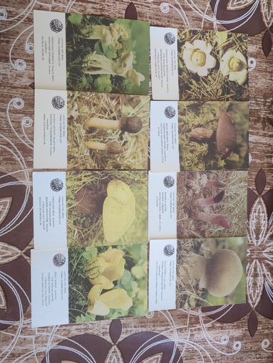 Календарик,красная книга Латвии,1986