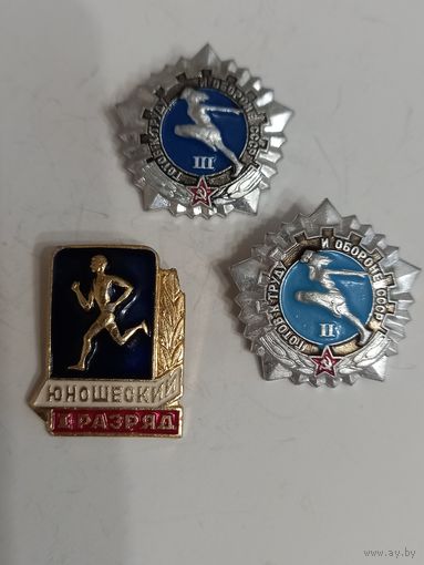 3 значка,юношеский разряд,гто