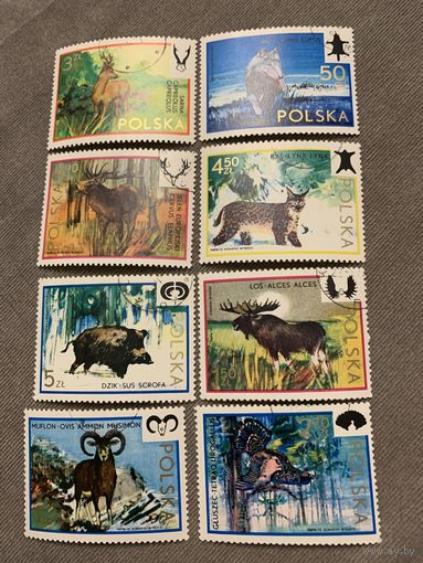 Польша 1973. Дикие животные. Полная серия