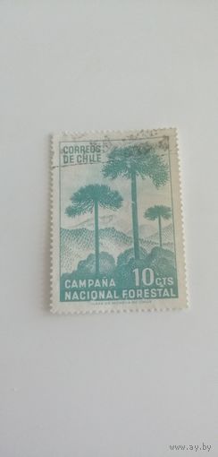 Чили 1967. Национальная кампания по облесению