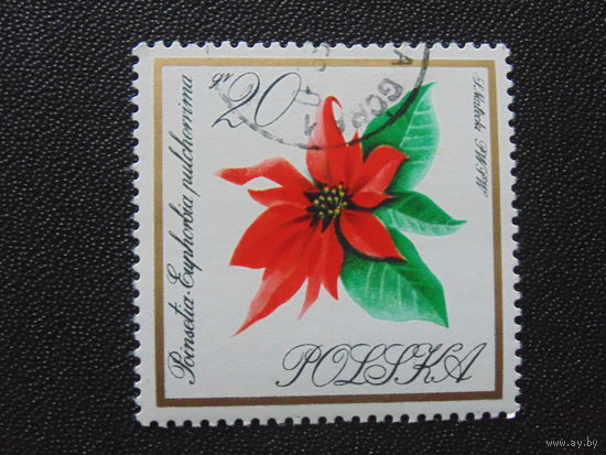 Польша 1966 г. Цветы.
