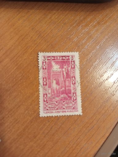 1936 французская колония Алжир флора архитектура мусульманское кладбище в Тлемпсе (5-8)